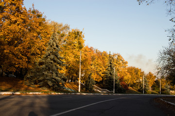 Colorful autumn trees. Trees by the road. Winding road.