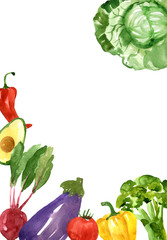 Watercolor illustration of cabbage, tomato, eggplant, beetroot, avocado, red pepper. Hand-drawn illustration isolated on white background. Garland of farm vegetables.