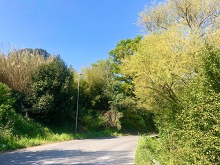 Fototapeta premium Countryside road in rome italy 
