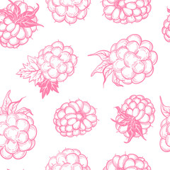 Sketch style vector eco food illustration. Hand drawn raspberry and blackberry seamless pattern on white background. - 336727989