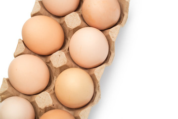  chicken eggs in an open cardboard box with eggs isolated on white. Fresh chicken eggs background.
