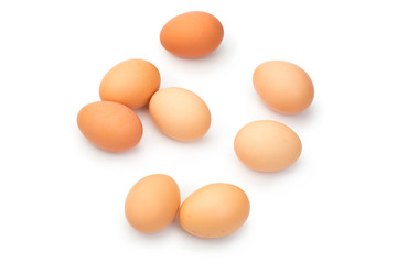 a lot of chicken eggs on a white background