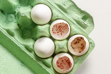 Growing seedlings, microgreens in an empty shell of chicken eggs.