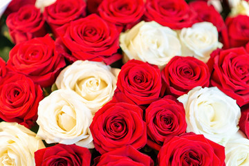 Bouquet of white and red roses is close up. Roses with wother drops. Romantic concept. Background horizontal format
