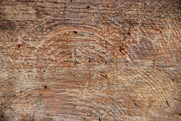 Wooden material background and texture close-up.