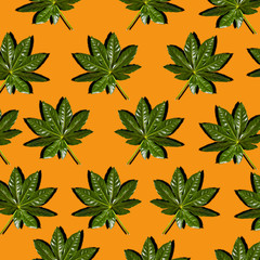 Palm leaf on orange background. Pattern background texture.