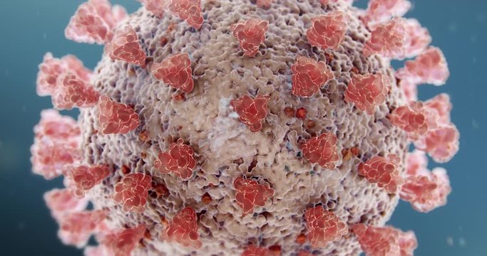 Microscopic view of Coronavirus COVID-19 (2019-nCoV) Visualization equal to Influenza, Flu or SARS. High quality realistic medical 3d rendering illustration animation for background in 4K and HD.