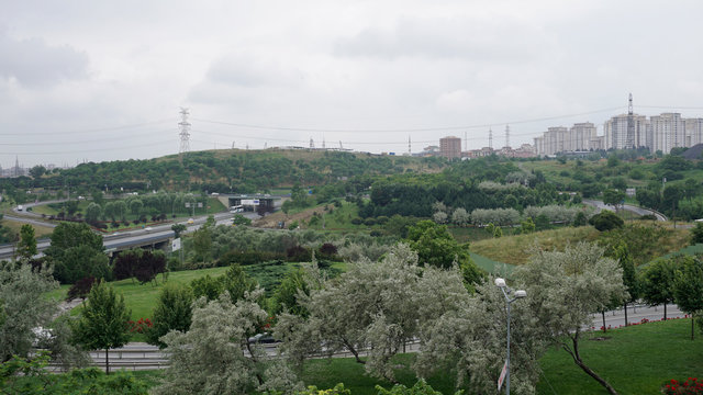 Cityscape Of A Green City. Drone View Of A Small Town. 