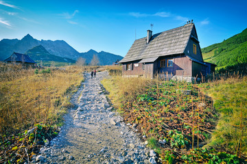 Hala Gąsienicowa. Tatry.