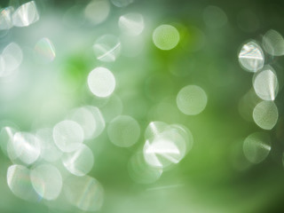 Fototapeta premium large bokeh with jagged circles - green background out of focus