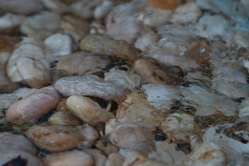 Small waterfall and flood pebble