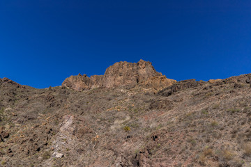 View of the hilltop on a mountainous landscape of volcanic origin along with lots of trees on the horizon, one can see the setting moon of the Gran Canary island