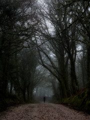 Lonely person on a foggy day in a portuguese forest (Corno de Bico, Paredes de Coura)