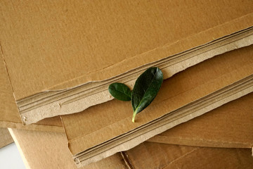 Sheets of brown corrugated cardboard and green leaves. Ecology and recycling concept.