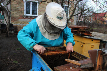 Beehive Spring Management. Beekeeper inspecting bee hive and prepares apiary for summer season. The spring works in the apiary. The start of beekeeping season. Frames of a bee hive. 
