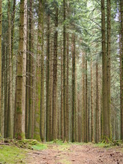 Fototapeta premium OLYMPUS DIGITAL CAMERA