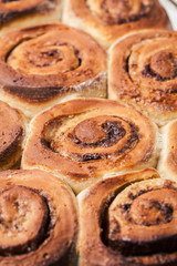 Freshly baked cinnabons/ cinnamon rolls, close up. Background