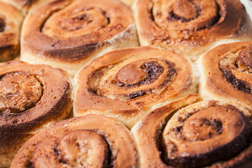 Freshly baked cinnabons/ cinnamon rolls, close up. Background