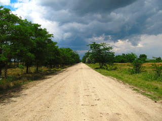 Yellow road, green vegetation and gray clouds. Crimean peninsula.