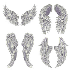 Heraldic wings set for tattoo or mascot design.