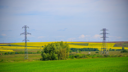 high-voltage power lines in the field, metal pylons, blooming rapeseed in the distance, light cloudiness