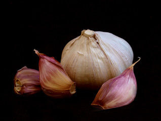 garlic isolated over blackbackground