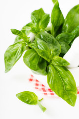 Fresh bouquet of basil leaves in a white ceramic bowl on white light background. Selective focus.