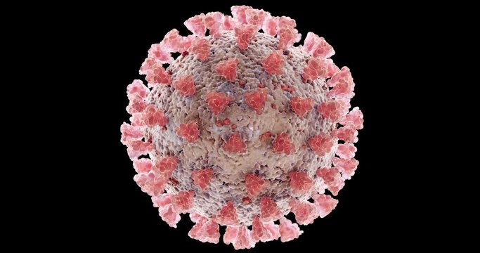 Microscopic view of Coronavirus COVID-19 (2019-nCoV) Visualization equal to Influenza, Flu or SARS. High quality realistic medical 3d rendering illustration animation for background in 4K and HD.