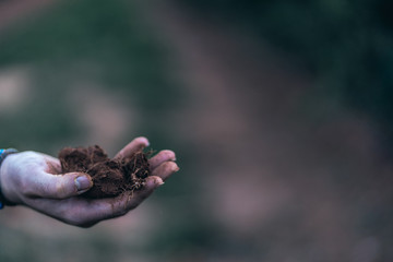 
Roots extracted during the growing season