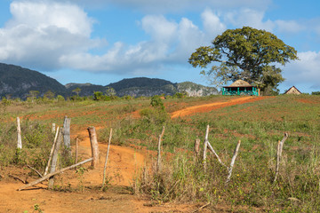 The Vinales Valley (Valle de Vinales), popular tourist destination. Tobacco plantation. Pinar del Rio, Cuba.