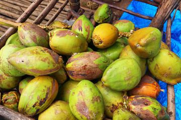 Bunch of fresh green Coconuts in a market in India