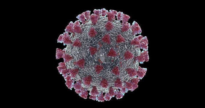 Microscopic view of Coronavirus COVID-19 (2019-nCoV) Visualization equal to Influenza, Flu or SARS. High quality realistic medical 3d rendering illustration animation for background in 4K and HD.