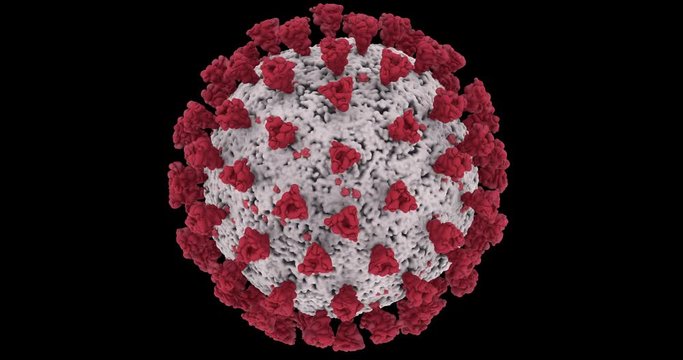 Microscopic view of Coronavirus COVID-19 (2019-nCoV) Visualization equal to Influenza, Flu or SARS. High quality realistic medical 3d rendering illustration animation for background in 4K and HD.