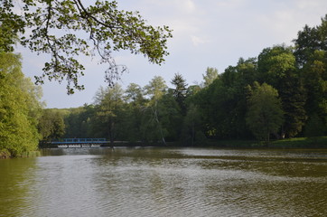 slow river in the forest