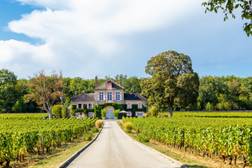 Fototapeta na wymiar 18 September 2019. Domaine d'Ardhuy in Burgundy, France.