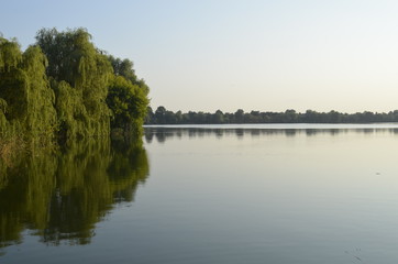 slow river near the forest
