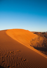 Fototapeta na wymiar Stunning sand dune in Namibia