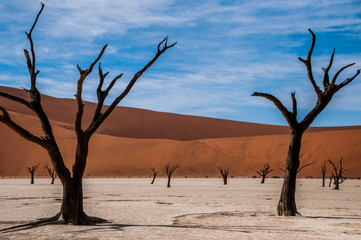 Fototapeta na wymiar Sossusvlei in Namibia with sand dunes