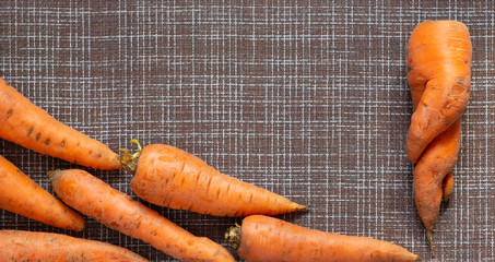 One ugly twisted carrot and normal vegetables on brown background, zero waste concept, banner of...