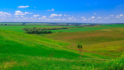 ravine overgrown with bushes and trees, in the distance the village