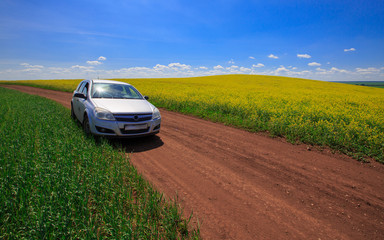 Obraz na płótnie Canvas a car on a country road on the edge of a blooming rapeseed field on a sunny day
