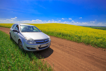 a car on a country road on the edge of a blooming rapeseed field on a sunny day