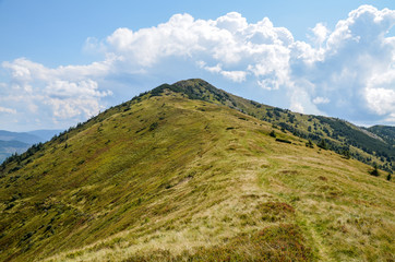 
View of the Carpathian Mountains near the top of Mount Strymba. Summer landscape panorama with green forest meadow and blue cloudy sky. Ukraine
