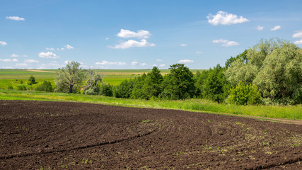 Plowed field, in the background a gorge overgrown with trees