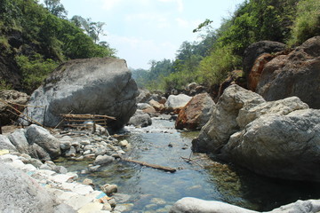 Shallow riverbed with stones and greenery