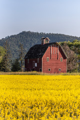 red barn in the field