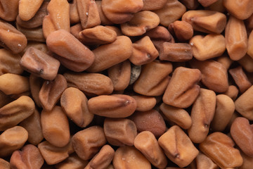 Trigonella foenum - graecum. Fenugreek seeds close up, texture