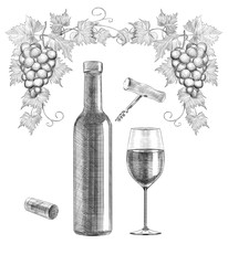 Sketch of wine still life on white background. engraving or drawing.