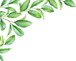 Floral composition with watercolor green branches