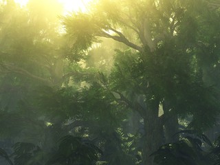 Obraz premium Trees in the fog. The smoke in the forest in the morning. A misty morning among the trees. 3D rendering